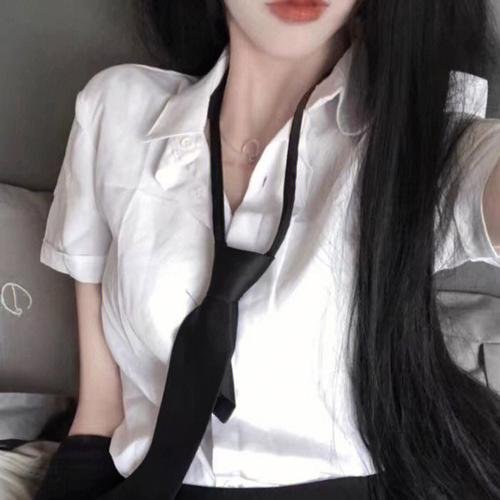 霸王龙:进化之旅